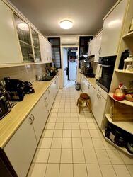 Tanglin Park (D10), Condominium #531171041